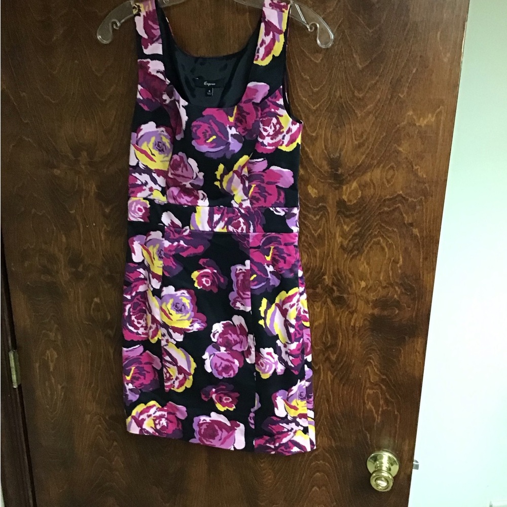 Express Woman’s Dress.  Size 4.